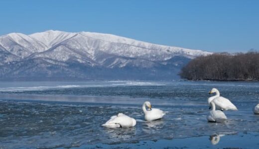 北海道の子ども向け遊び場おすすめ25選！雨の日・無料・屋内・年齢別で徹底解説